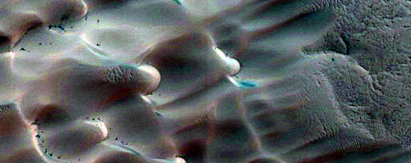 Dunes Dubbed Buzzel