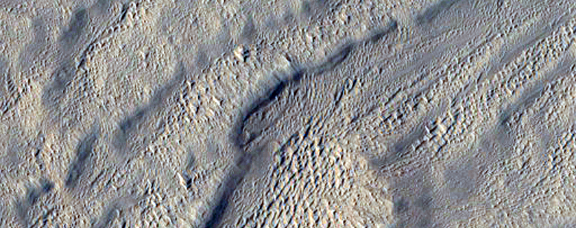 Enigmatic Features along the Eastern Margin of Amazonis Planitia
