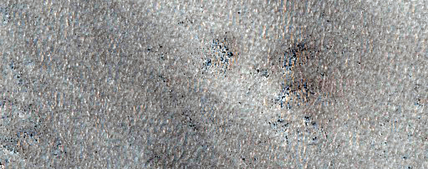 Northern Plains Sample