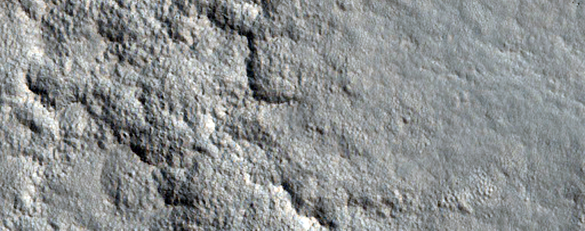 Arcadia Region Sample