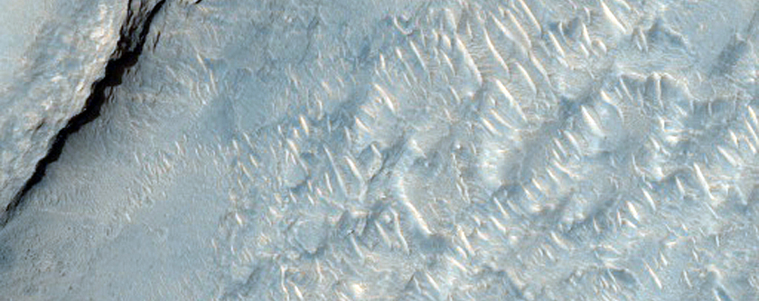Polygonal Veins in Robert Sharp Crater