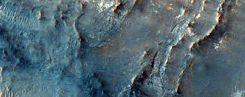 Possible Olivine and Carbonates in Syrtis Major Planum