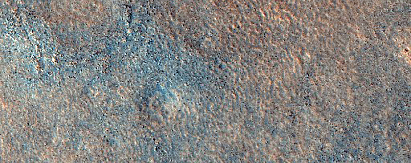 Northern Plains Terrain