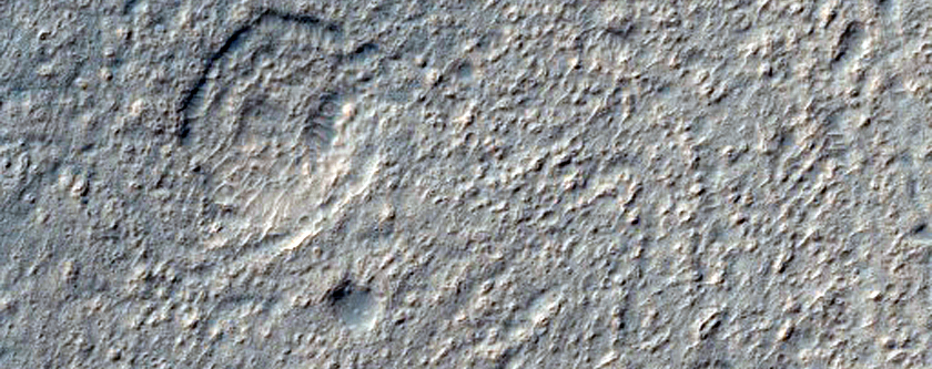 Gully Monitoring