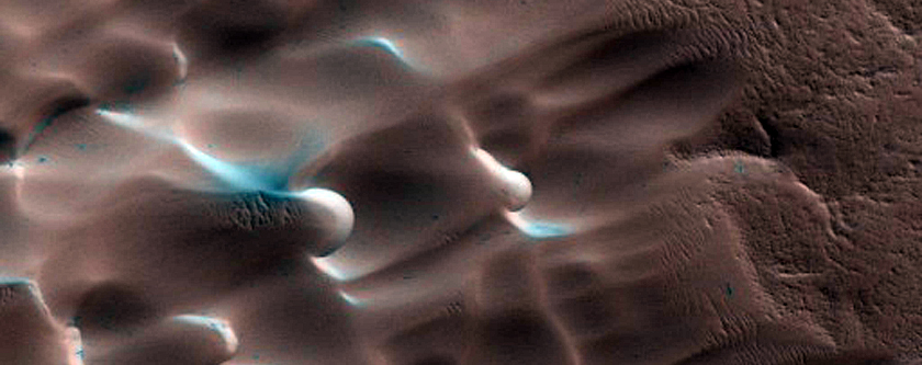 Dunes Dubbed Buzzel