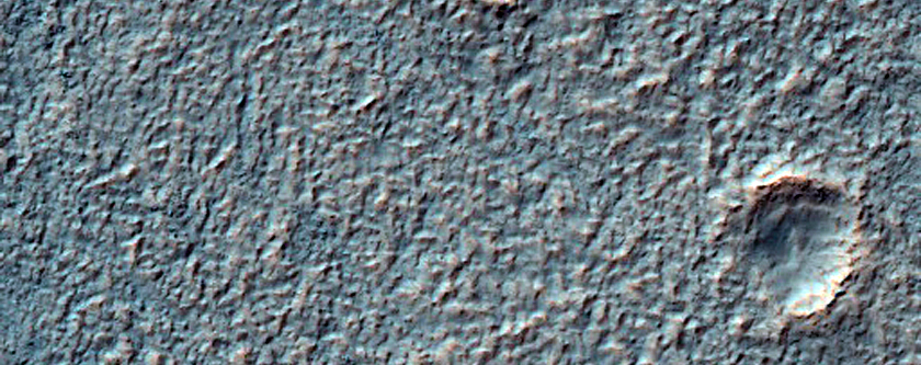 Overlapped Features Where Channel Meets Newton Crater Floor