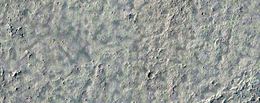Platy-Ridged Surfaces in Zephyria Region