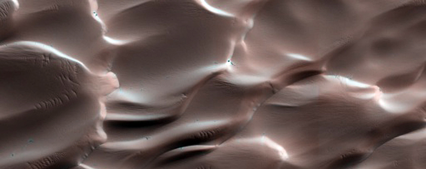 Dunes Dubbed Buzzel