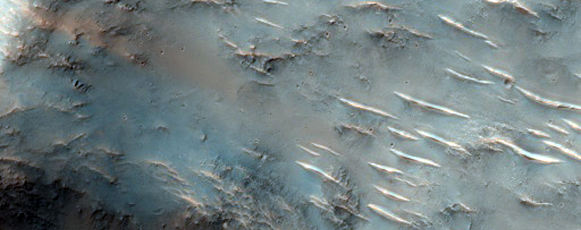 Small Craters North of Hellas Planitia with Phyllosilicates in the Rim