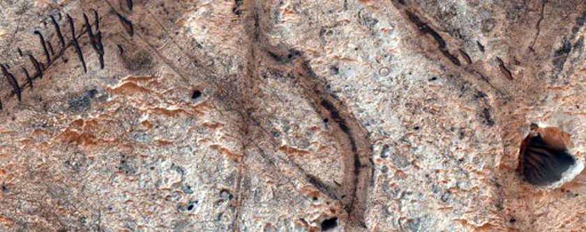 Mawrth Vallis Region