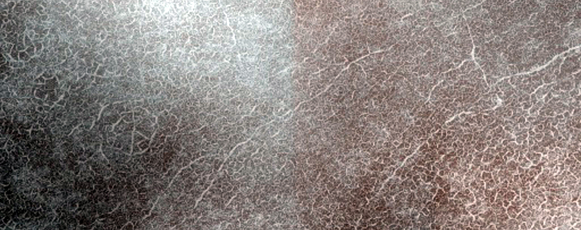 Northern Plains Terrain Sample