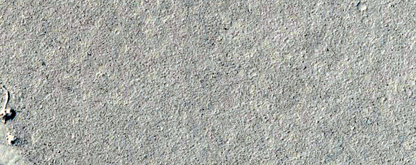 Knobs on Platy-Ridged Lava