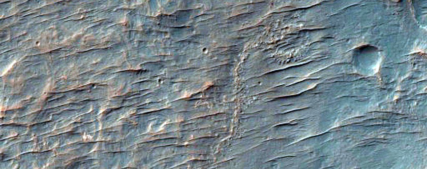 Crater with Sinuous Ridges and Light-Toned Patches