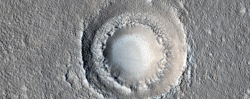 Possible Terraced Crater in Arcadia Planitia