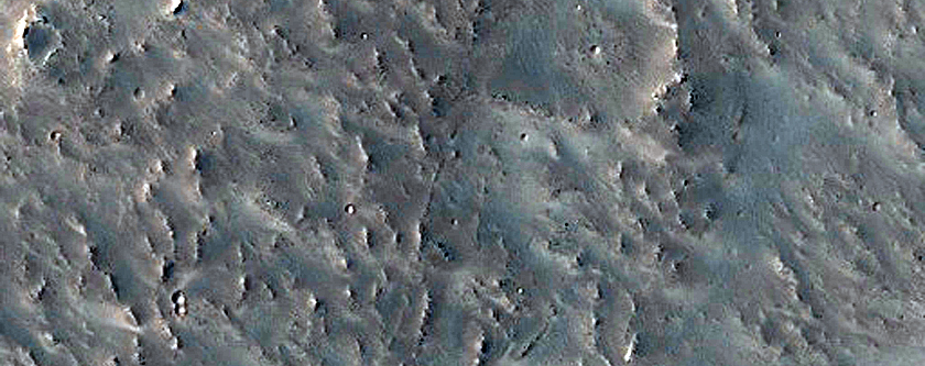 Daedalia Planum Lava Flows