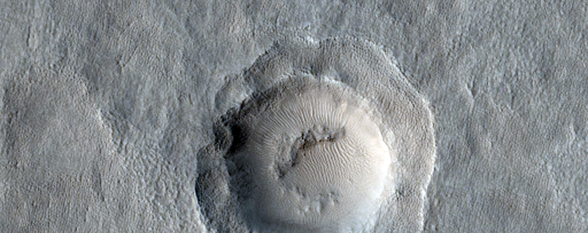 Double-Terrace Crater in Arcadia Planitia