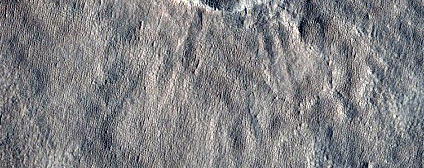Cratre  terrasse double  Arcadia Planitia