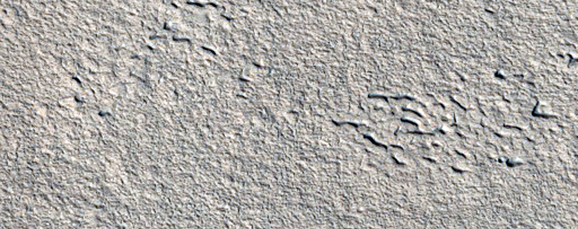 Ground-Ice Features in Tempe Terra
