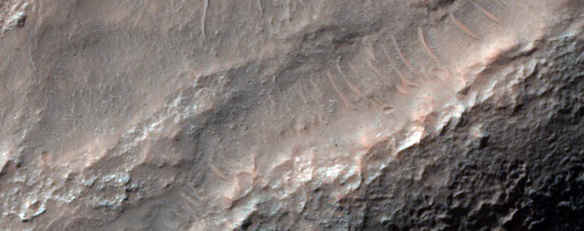 Dao Vallis
