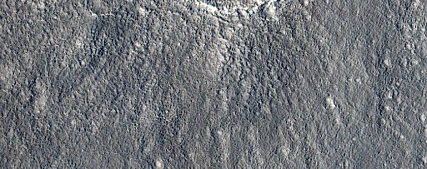 Possible Terraced Crater in Arcadia Planitia
