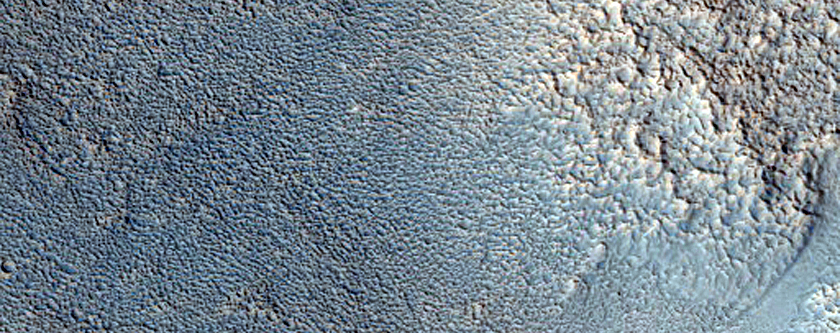 Dendritic Channels in Protonilus Mensae
