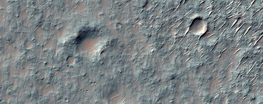 Braided Channel in the Southern Highlands
