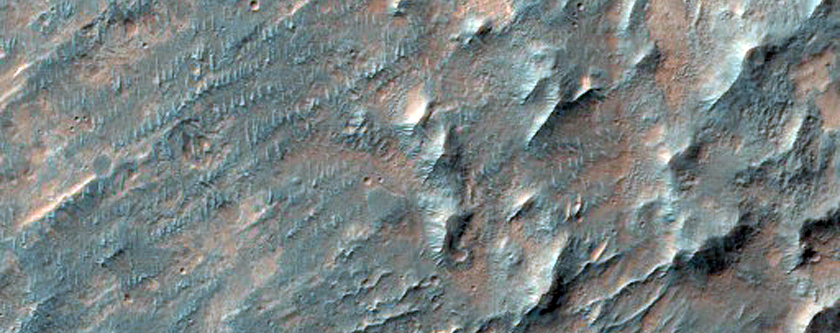 Possible Phyllosilicate-Rich Terrain in Nirgal Vallis
