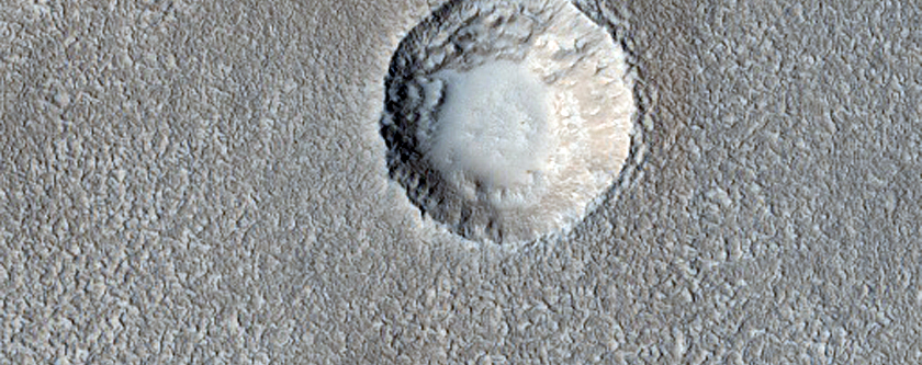 Possible Multi-Terraced Crater in Arcadia Planitia
