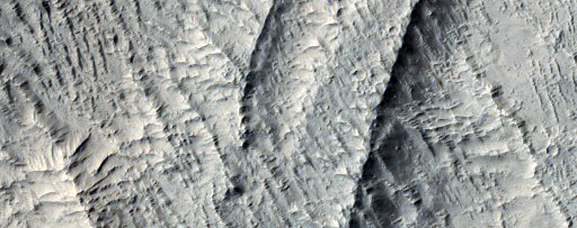 Surfaces in Lucus Planum Region
