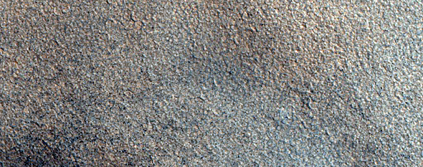 Northern Plains Sample
