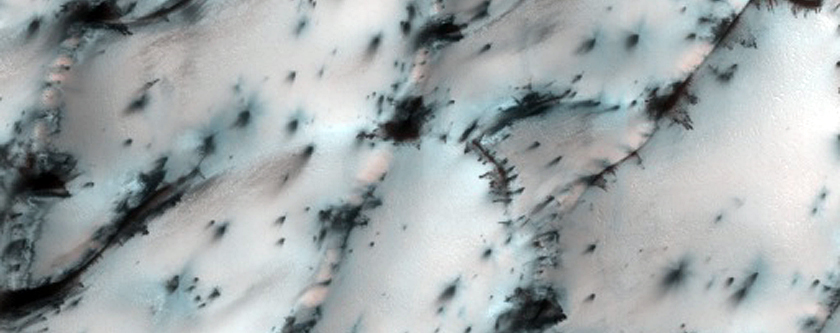 Dunes with Interesting Fans
