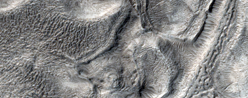 Surface Features in Mamers Valles
