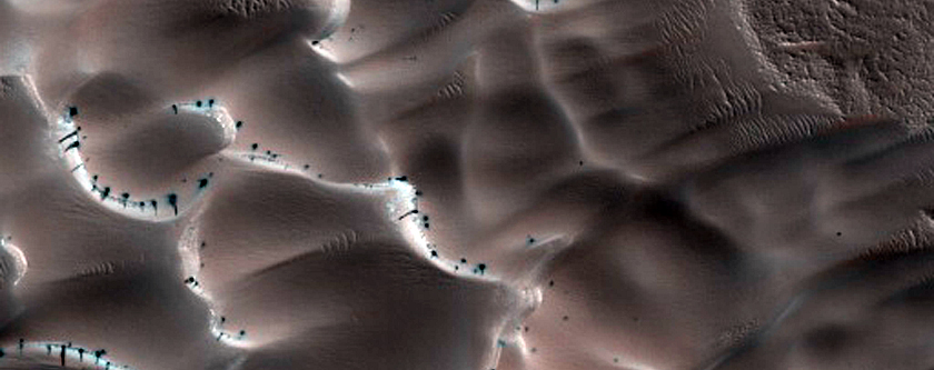 Dunes Dubbed Buzzel
