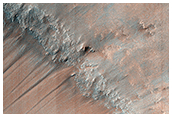 Gullies and Bedrock in Nirgal Vallis