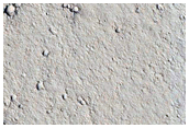 Northern Elysium Planitia