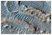Gullied Crater Wall