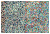 USGS Dune Database Entry Number 1160-690