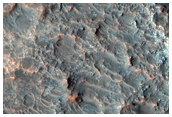 Well-Exposed Layered Bedrock