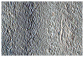 Pavonis Mons