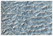 Dark-Toned Discontinuous Textured Surface Near Valley Termini