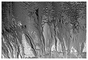Gully Monitoring