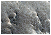 Candidate New Impact Site