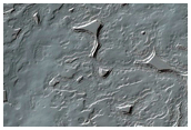 South Pole Residual Cap Albedo and Monitoring