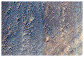 Spider-Rich Layers on Rim of Reynolds Crater