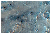Candidate Landing Site for 2020 Mission