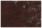 Spider Terrain