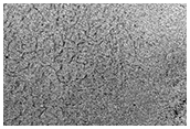 Monitor Defrosting of Ice-Exposing Crater