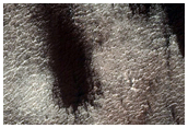 Region Dubbed Manhattan Classic Spider Terrain