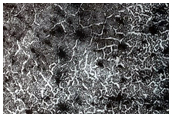 Non-Cryptic South Polar Terrain