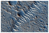 Fractures in Chryse Planitia